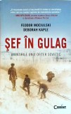 Feodor Mociulski, Deborah Kaple - Sef in gulag. Amintirile unui ofiter sovietic