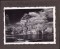Foto  - 1