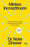 Mintea increzatoare - Nathaniel Zinsser - Editura Pilot Books