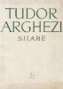 Silabe - Tudor Arghezi