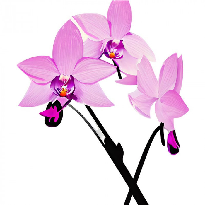 Sticker decorativ Orhidee, Roz, 71 cm, 7755ST