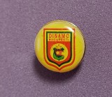 Insigna fotbal - DINAMO BUCURESTI