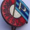 Insigna Progresul