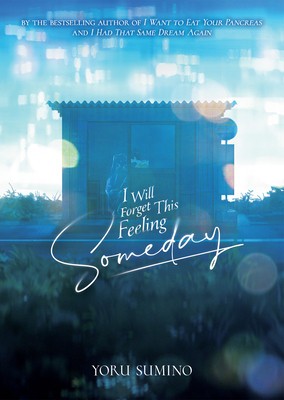 I Will Forget This Feeling Someday (Light Novel) foto