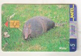bnk card Cartele telefonice - Uruguay 1999 - fauna