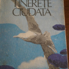 Tinerete ciudata Dinu Pillat 1984