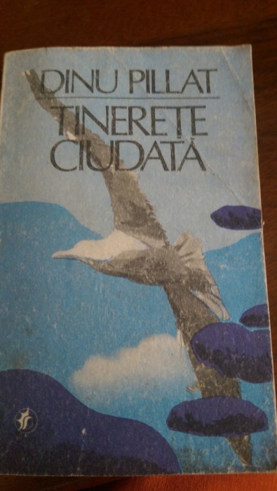 Tinerete ciudata Dinu Pillat 1984