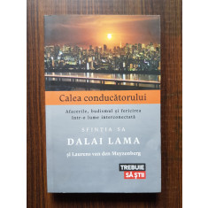 Dalai Lama - Calea conducatorului. Afacerile, budismul si fericirea...