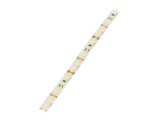 Bandă LED Alb Neutru KLUŚ - 160 LED/m, 4000K, IP20