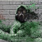 Fototapet autocolant Grafiti cu masca, 200 x 150 cm