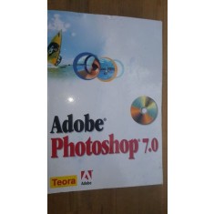 Adobe Photoshop 7.0 Editura Teora