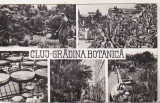 bnk cp Cluj - Gradina botanica - uzata