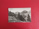 CARTE POSTALA - RPR - MUNTII BUCEGI - VEDERE SPRE VARFUL CU DOR, Circulata, Fotografie