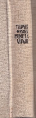 Thomas Mann - Muntele vrajit foto