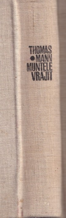 Thomas Mann - Muntele vrajit