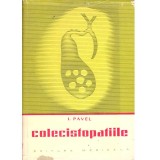 I. Pavel - Colecistopatiile - 137266