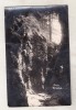 Bnk cp Borsec - Grota Ursului - circulata 1937, Fotografie