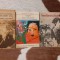 STOL DE PASARI ALBE/VUIETUL MUNTELUI/KYOTO/TARA ZAPEZILOR-YASUNARI KAWABATA