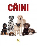 Caini, Animale de companie,