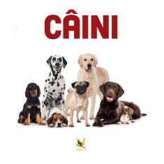 Caini, Animale de companie,