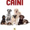 Caini, Animale de companie,