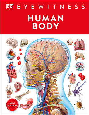 Human Body foto