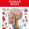 Human Body