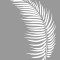 Sablon 560x430x0.7mm, Frunza de Palmier, Refolosibil MX70001