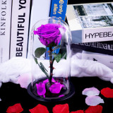 Cumpara ieftin Trandafir Criogenat XL purpuriu &Oslash;6,5cm in cupola 10x20cm