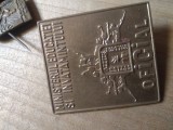 Insigna Ambutisate Invatamant Oficial