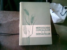 MERCEOLOGIA CEREALELOR SI A DERIVATELOR - STAN