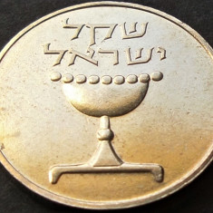 Moneda 1 SHEQEL - ISRAEL, anul 1981 *cod 1471 A = monetaria Berna