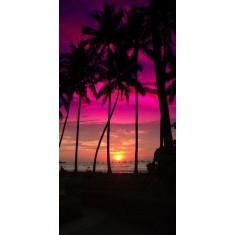 Husa Personalizata ASUS Zenfone Go ZC550TG Palm Beach