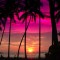 Husa Personalizata ALLVIEW V1 Viper L Palm Beach