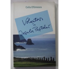 VOLUNTAR IN INSULA PASTELUI de CELLA EFTIMESCU , 2012