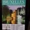 Top 10 Bruxelles - Ghiduri turistice vizuale
