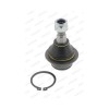 Pivot rotula Ford Tourneo Connect, Transit Connect, Transit Tourneo, Transit Moog FDBJ0814, parte montare : punte fata, stanga, dreapta, inferior