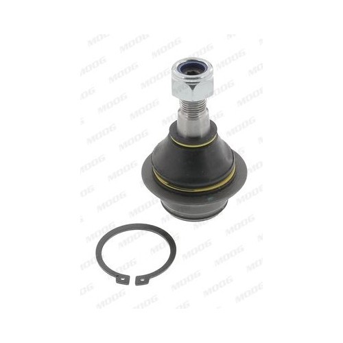 Pivot rotula Ford Tourneo Connect, Transit Connect, Transit Tourneo, Transit Moog FDBJ0814, parte montare : punte fata, stanga, dreapta, inferior