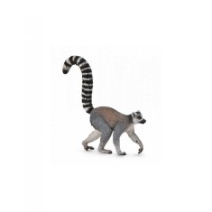 Lemur cu coada-inel - Collecta