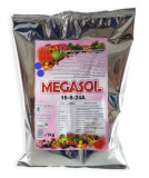 Ingrasamant Megasol 16-08-24A+TE 1 kg