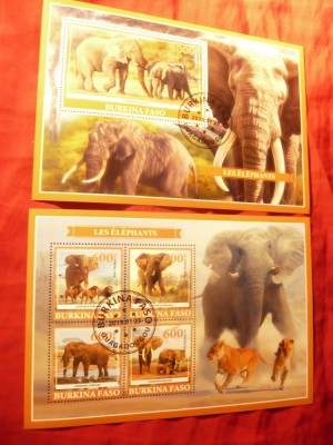 2 Blocuri Burkina Faso 2019 Fauna - Elefanti foto
