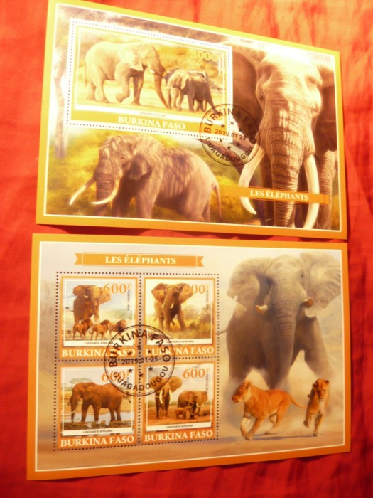 2 Blocuri Burkina Faso 2019 Fauna - Elefanti