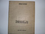 Betonul In Arhitectura - Anton Moisescu, Eleodor Saftoiu , 20752, Tehnica