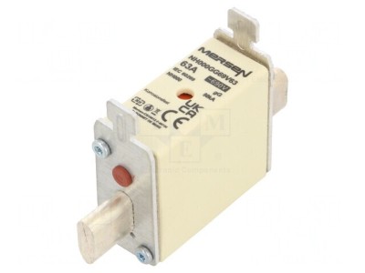 Siguranță Ceramică Industrială gG 63A 690VAC 250VDC foto