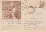 D11 - CPR - Carte postala tematica militara 14 - circulata la 1974