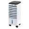 Racitor de aer portabil ETA Frost 2568, 65 W, 3.5 L, temporizator, telecomanda