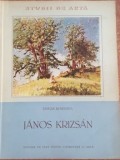 Studii de arta Janos Krizsan- Stefan Borghida