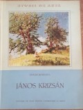 Studii de arta Janos Krizsan- Stefan Borghida