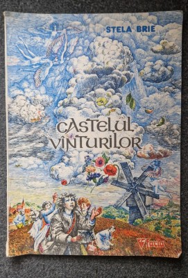 CASTELUL VANTURILOR - Stela Brie foto