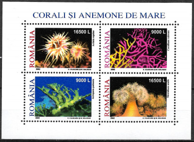 ROM&amp;Acirc;NIA 2002 - LP 1577 A - CORALI ȘI ANEMONE DE MARE - BLOC DANTELAT MNH foto